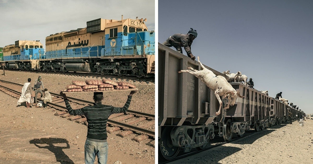 Источник: boredpanda.com