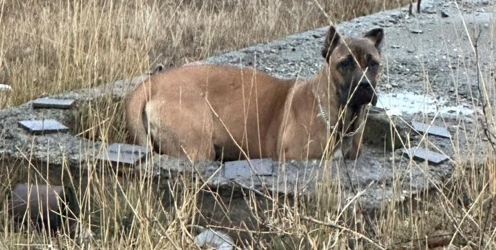    Фото предоставлено Ю.Денисовой Диана Огнева