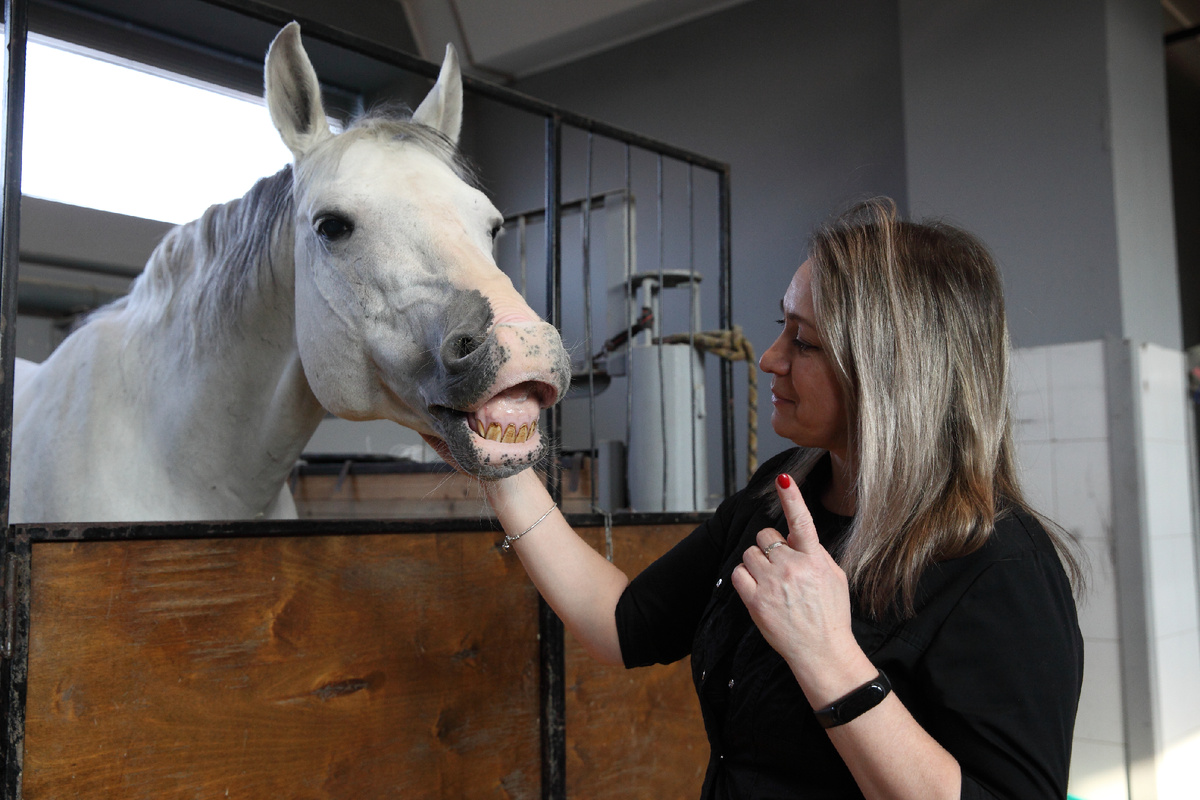 Ветеринар Казанского цирка Алия Ахмерова с подопечным