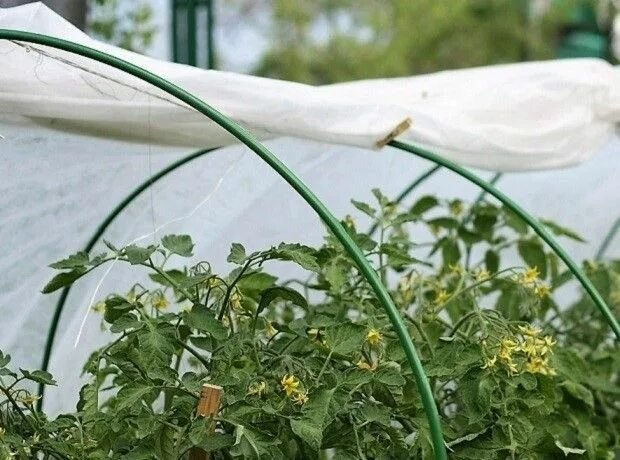 Парник для растений