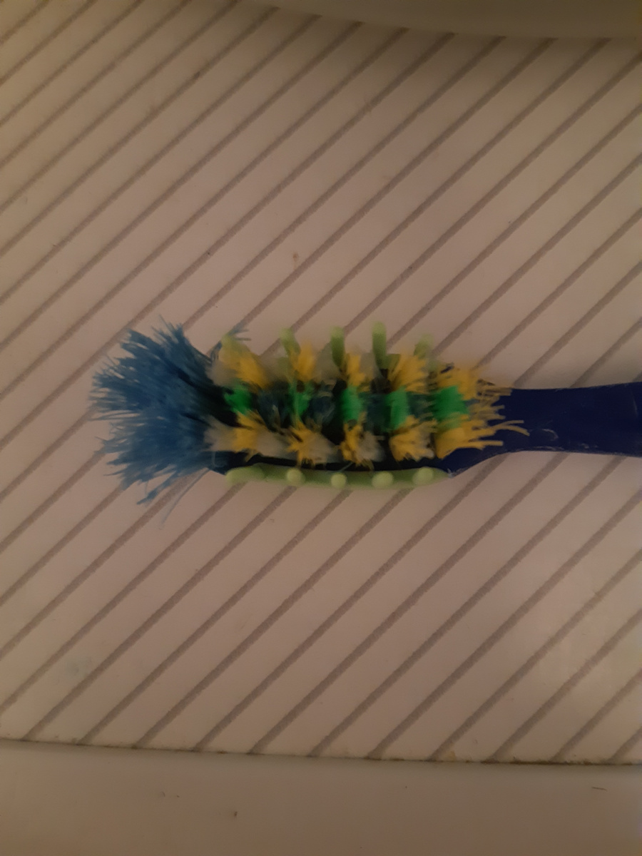 Щётка мужа, после того, как ей помыли стены, ванну со сливом хорошенько, раковину и унитаз)