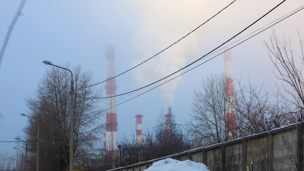    © Elena Mayorova/Globallookpress