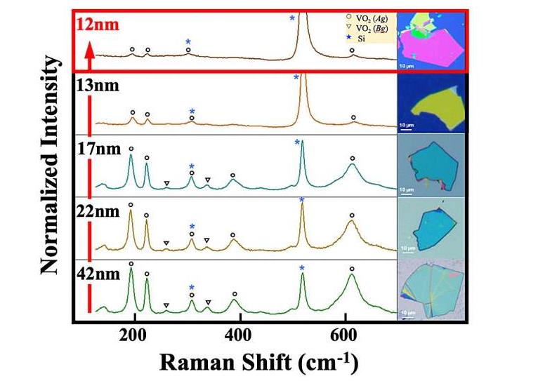 Спектры комбинационного рассеяния VO2 с разной толщиной при комнатной температуре. На правых изображениях показаны соответствующие оптические изображения VO2, выращенного на hBN. Источник: Applied Physics Express (2025)