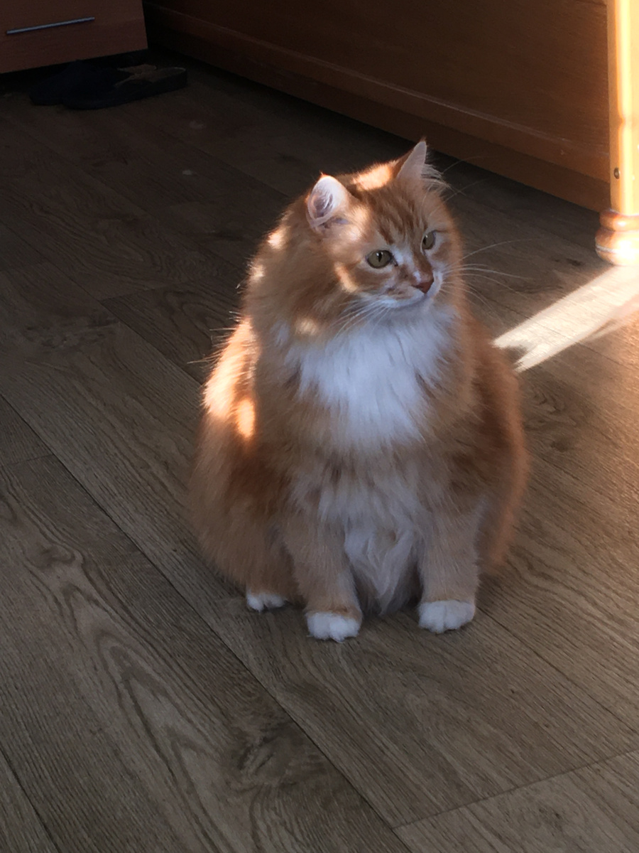 Беша. Фото автора