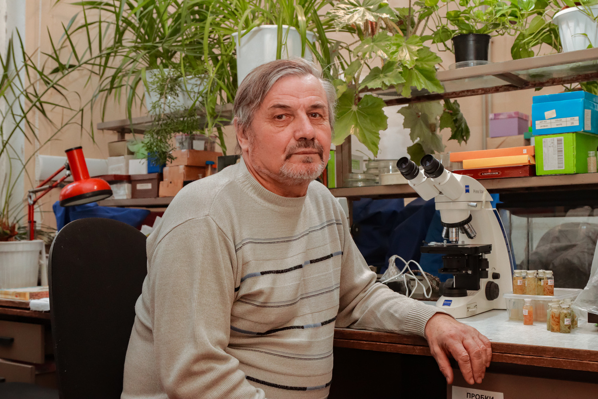 Фото Дмитрия Ковшова