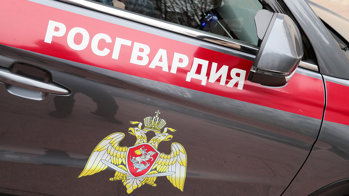    Фото: vm.ru Георгий