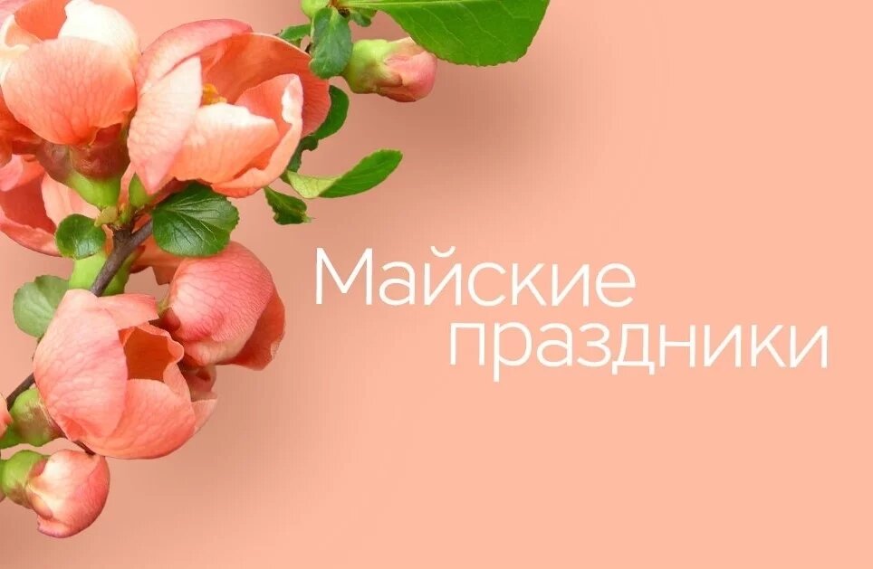 Не успевают еще завершиться новогодние праздники, как россияне уже спешат планировать отдых на майских! Обсуждают даты нерабочих дней и планы на каникулы.