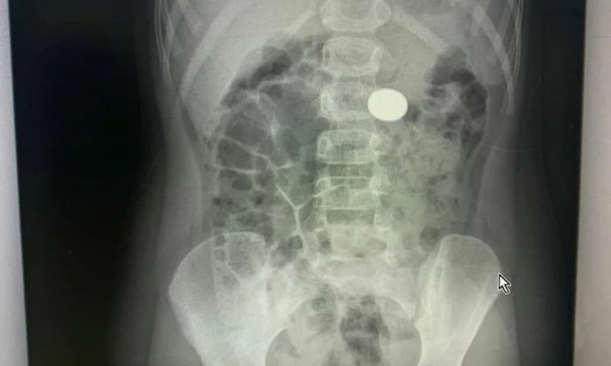    Фото tuapsevesti.ru