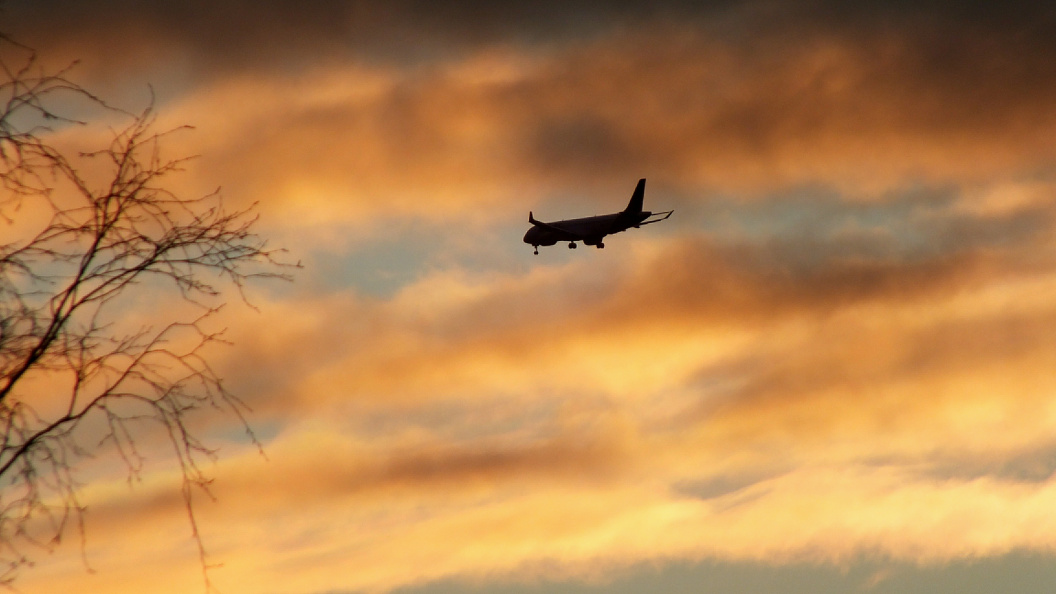    Victor Lisitsyn/Global Look Press