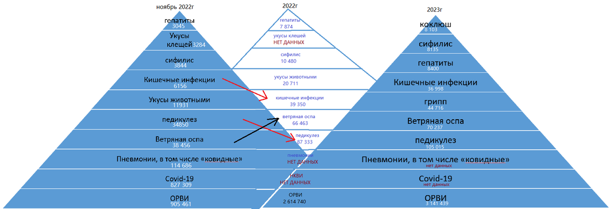 схема автора