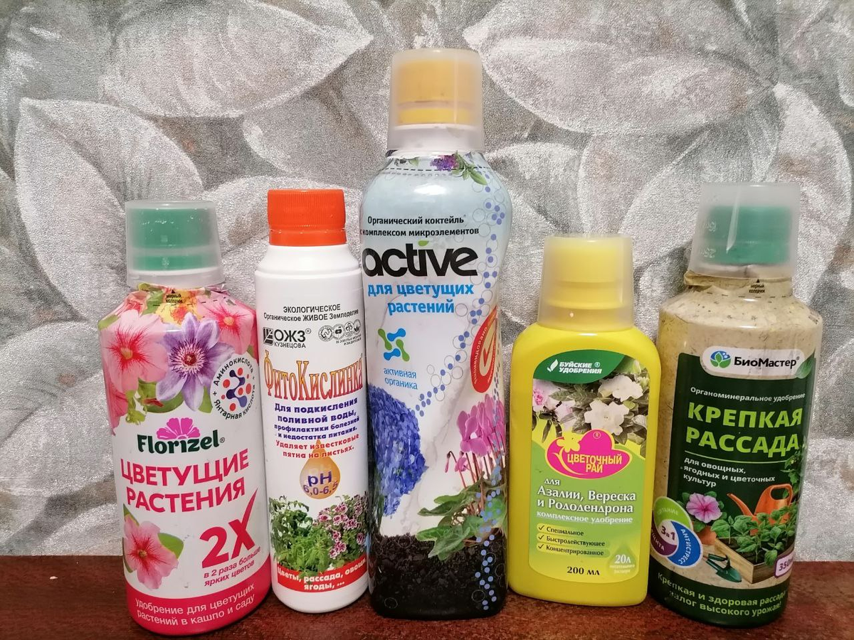 Здесь и для любителей кислого, и для любителей нейтрального, с органикой и только с минералкой, фото автора