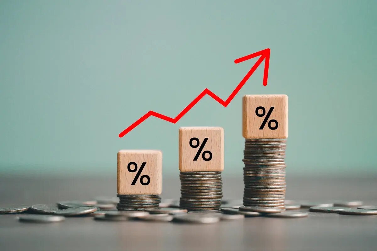    Фото: SomYuZu / Shutterstock.com