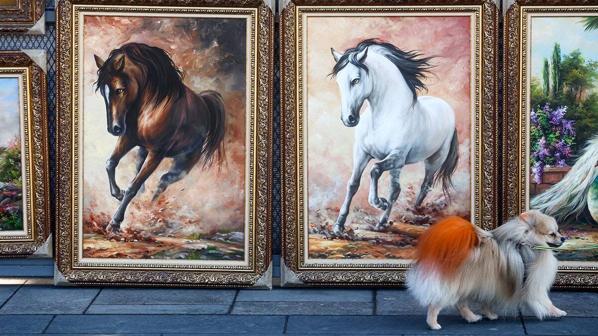    Фото: Ярослав Чингаев / АГН Москва