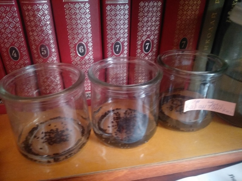 Семена лука-порея замачиkb в растворе золы