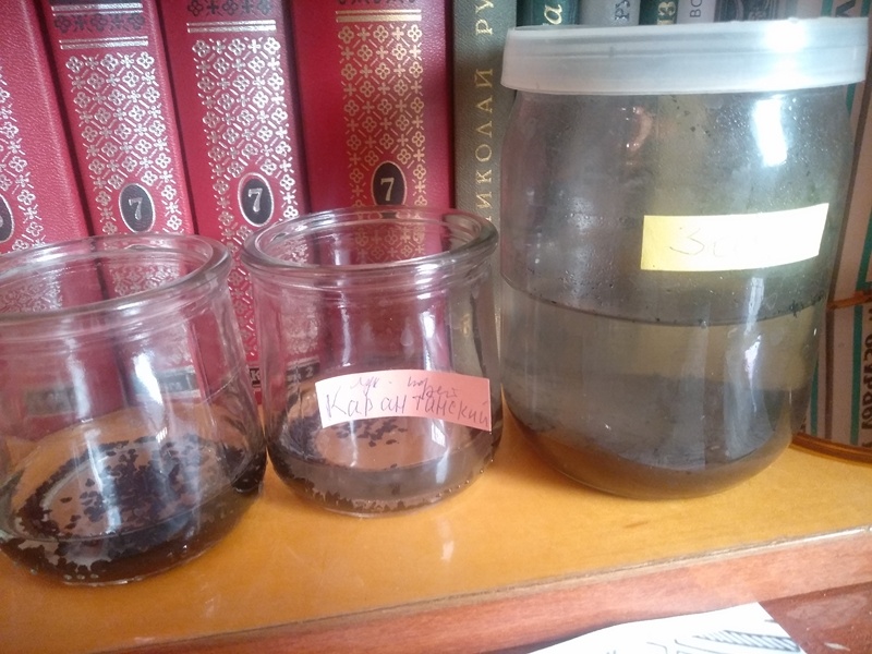 Справа баночка с раствором золы