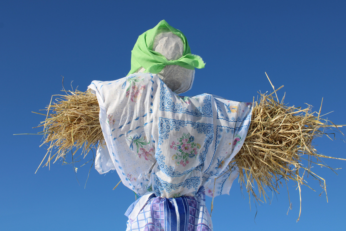 Для платья и косынки можно купить самую простую, но цветастую ситцевую ткань.