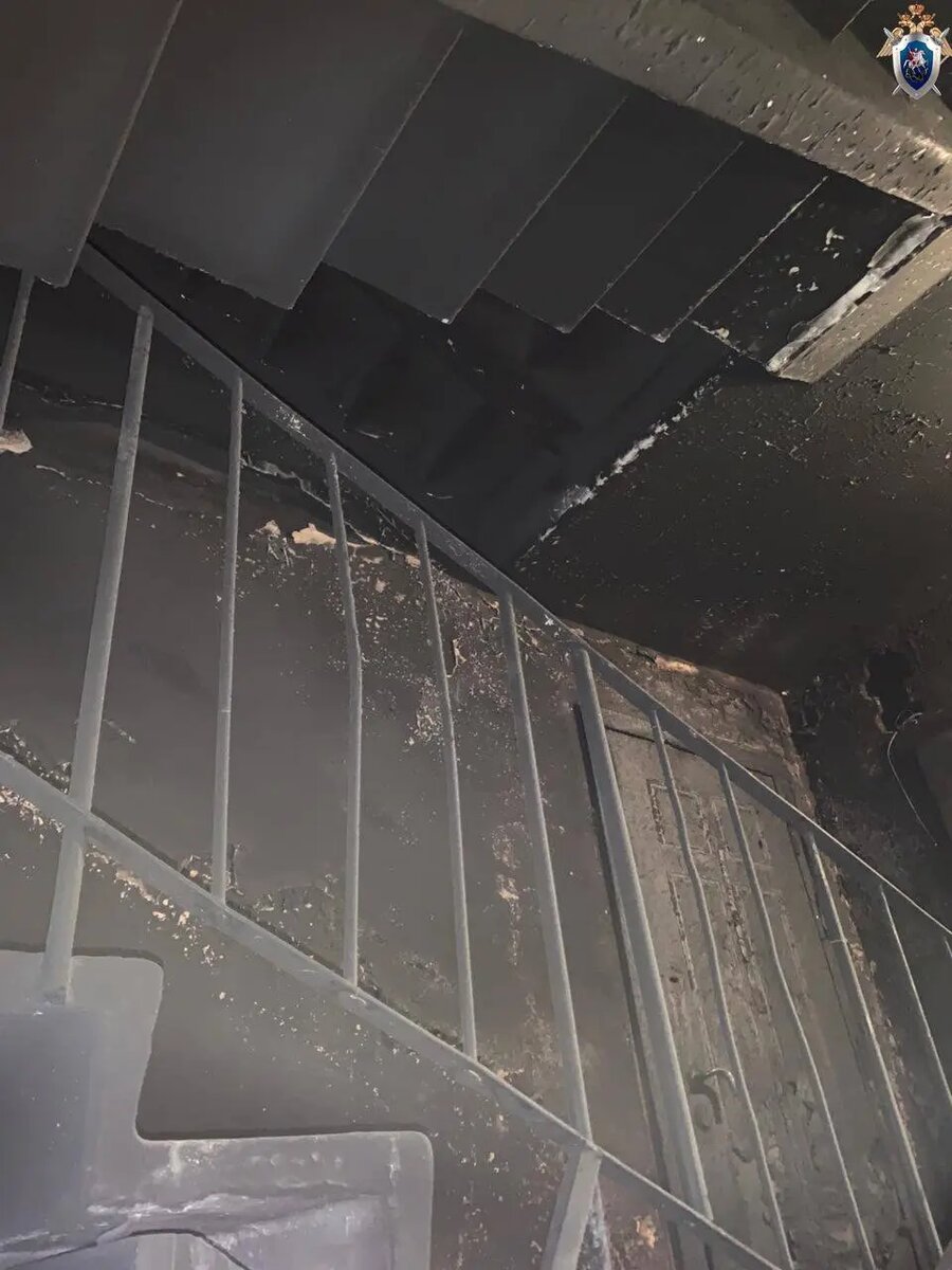    Фото: ГСУ СК по Петербургу