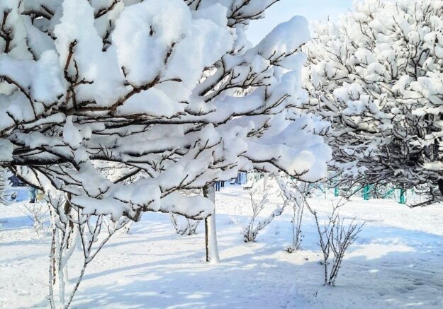    Фото: Югополис