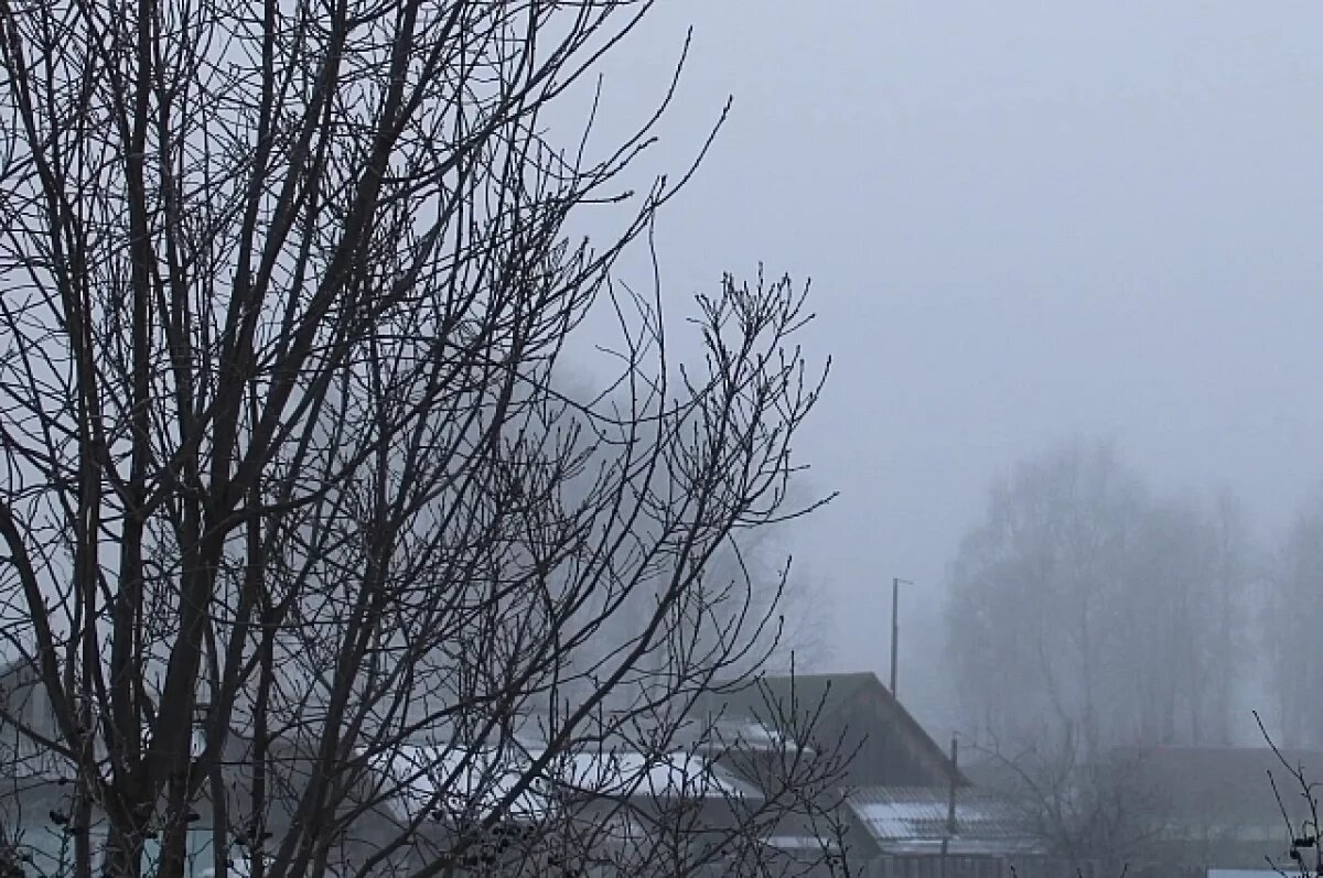    Челябинцы жалуются на запах куриного помета в разных районах города