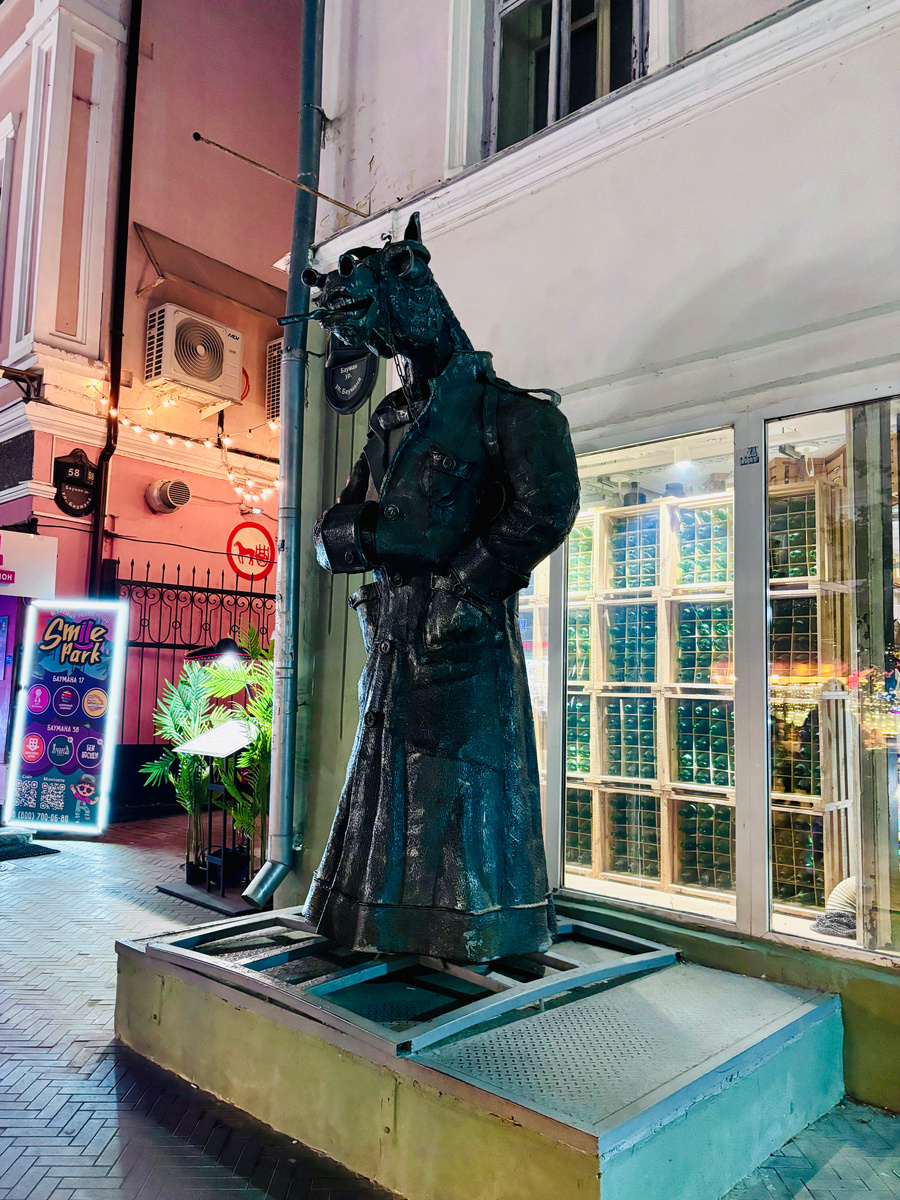 Конь в пальто