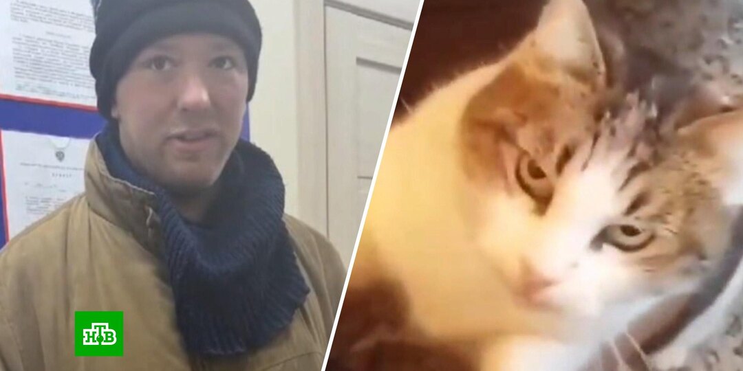 В Крыму задержали мужчину, который сбросил кошку Мусю со скалы