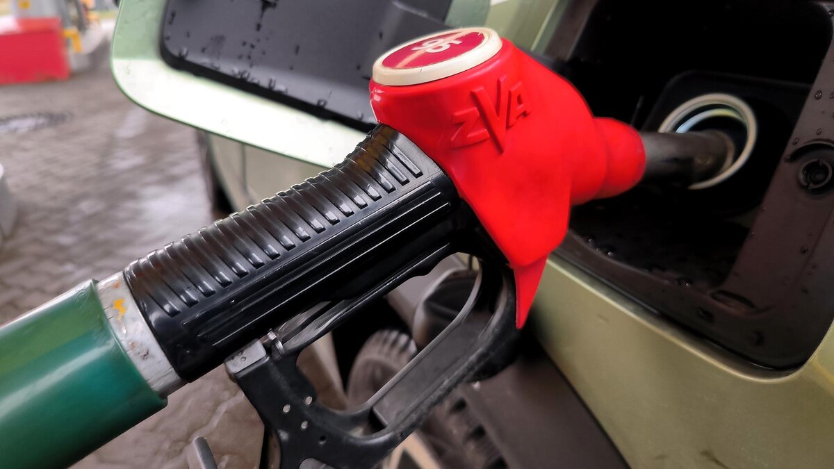    Фото: Maksim Konstantinov/globallookpress.com