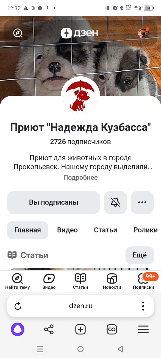 Приюту нужна помощь.