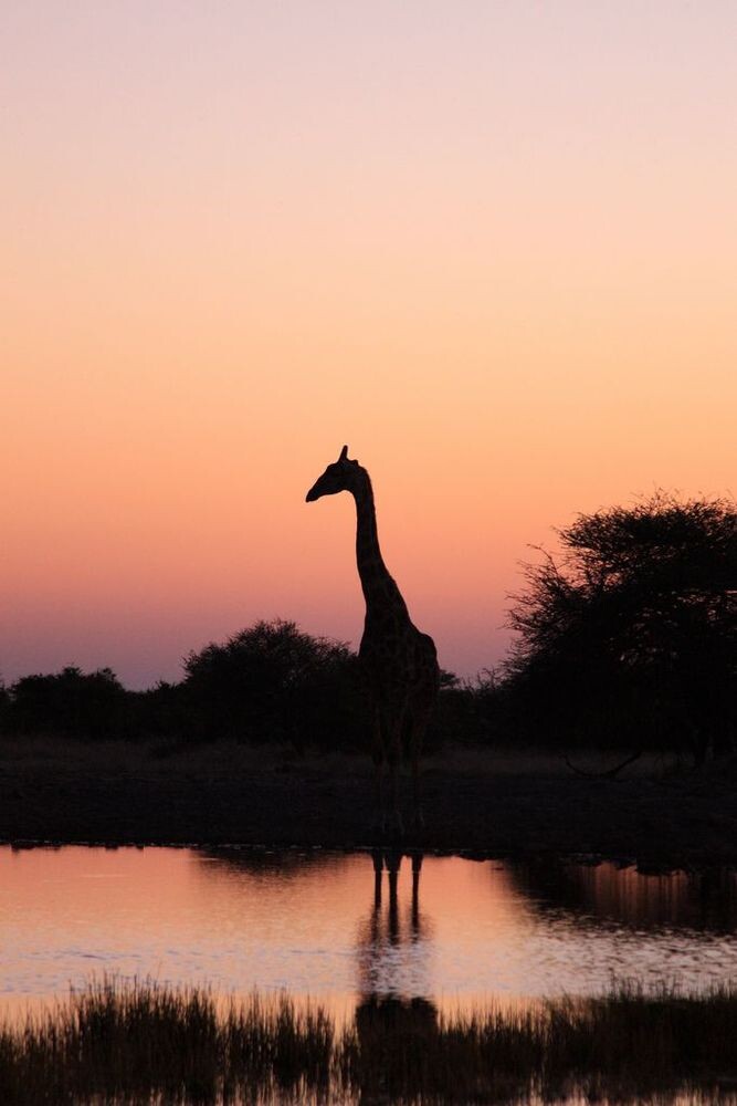  Фото из открытый источников