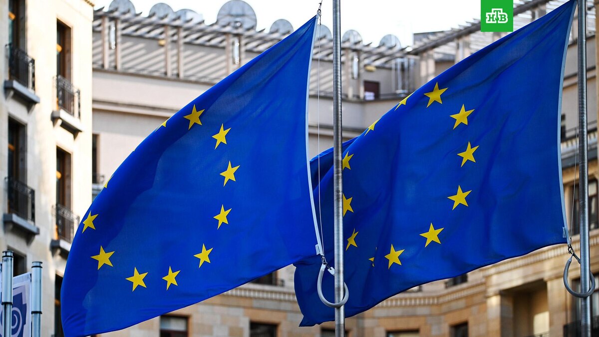    Фото: РИА Новости © 2025, Алексей Витвицкий