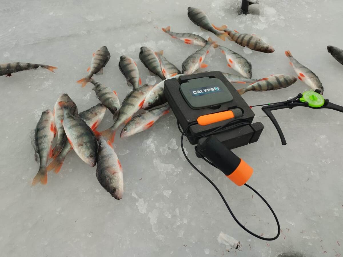 Эхолот зимой.