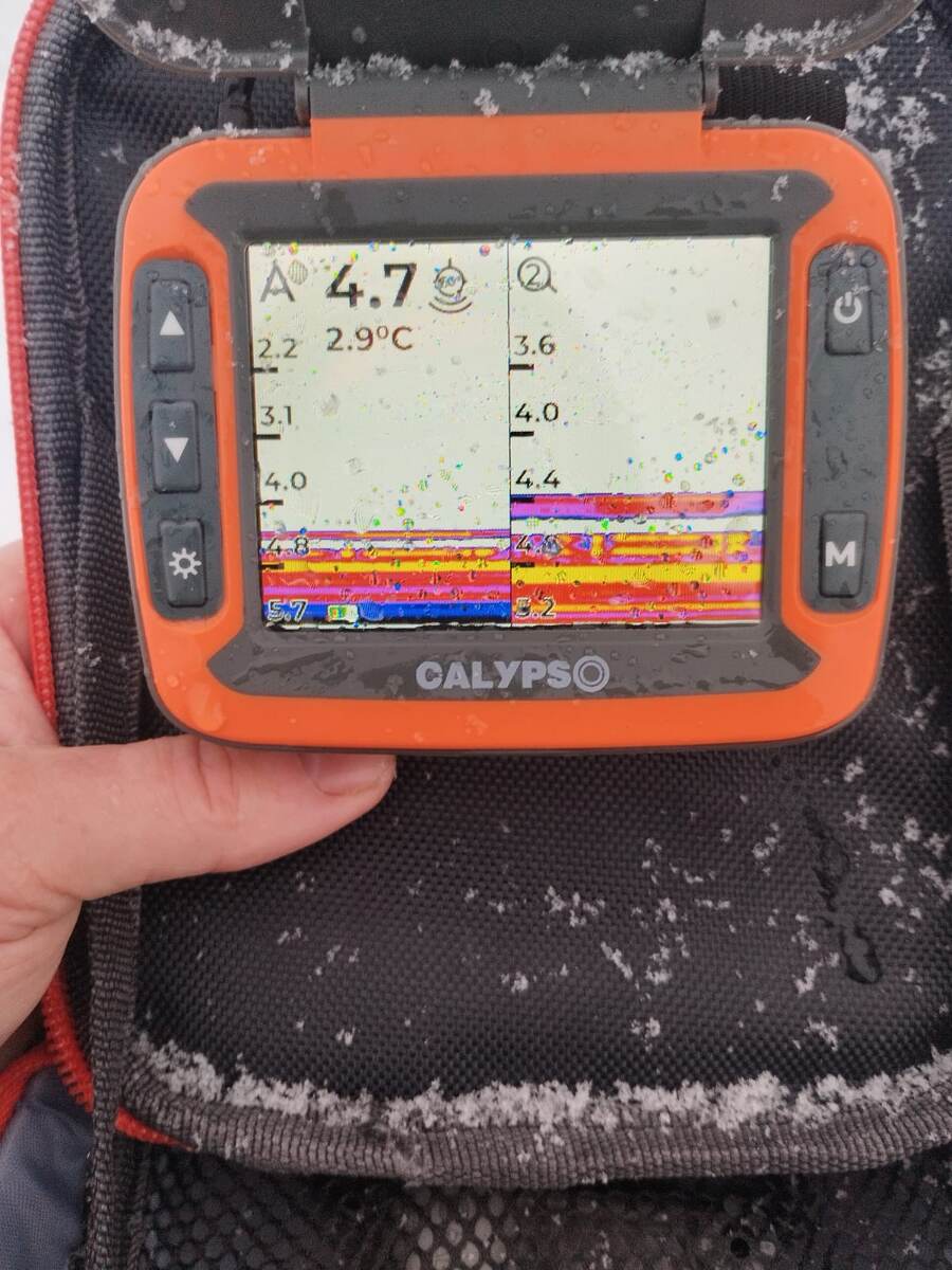 Стайная рыба на эхолоте.