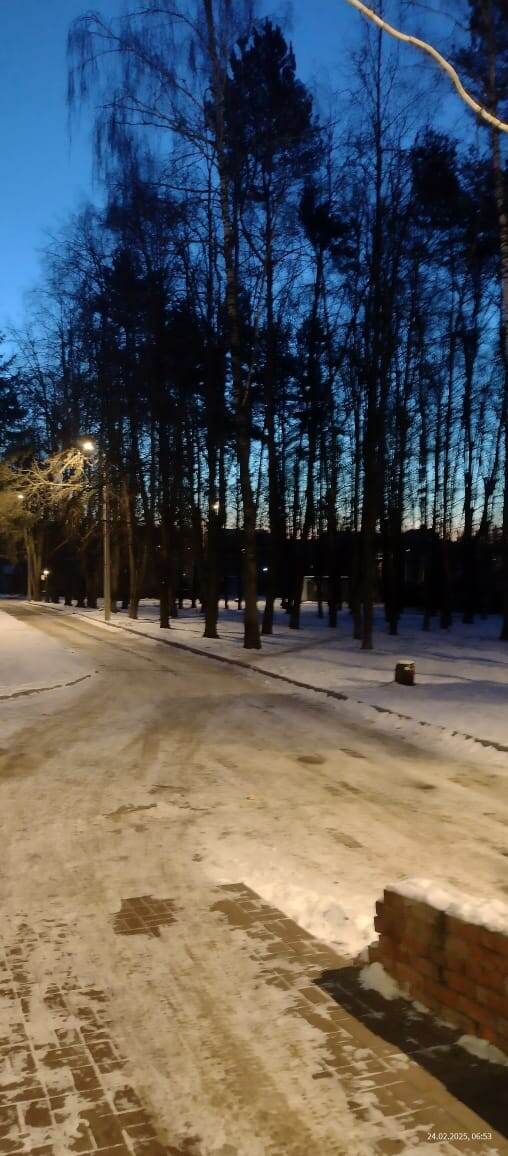 Фото автора. Территория больницы