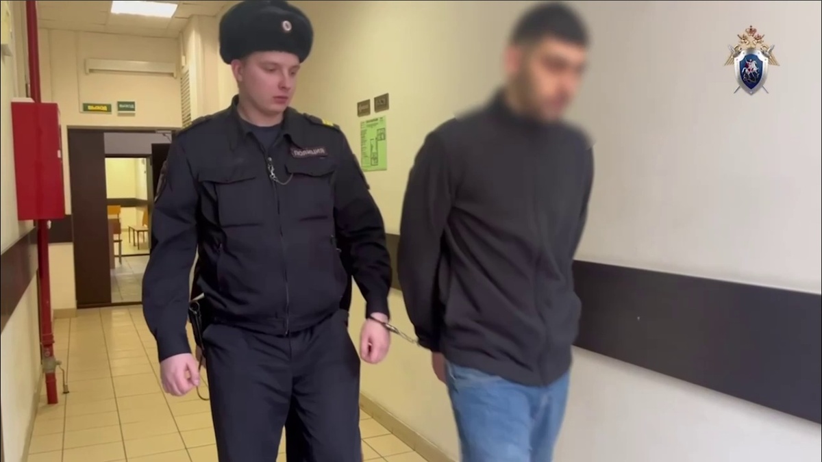 Фото: скриншот из видео Следственного комитета РФ