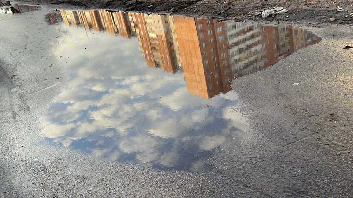 Олеся Казакова: «Еще очень люблю акварельные дома в отражении залива, озер, луж. Вижу наш район как место, где городское растворяется в природном, а природное вливается в городское».