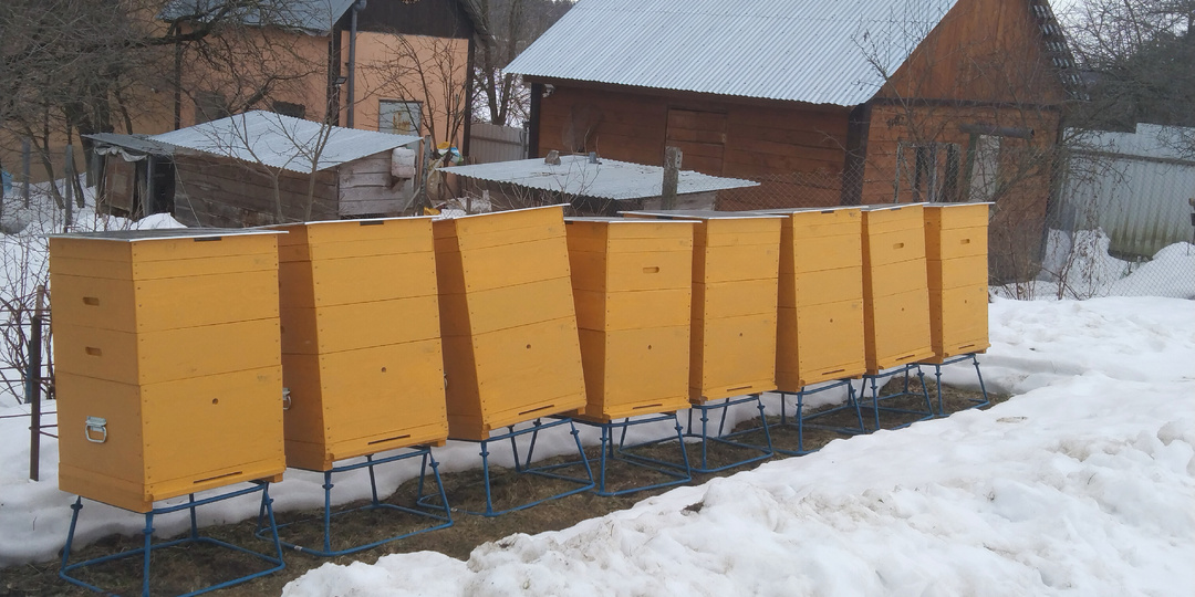 Пчеловод должен быть жадным