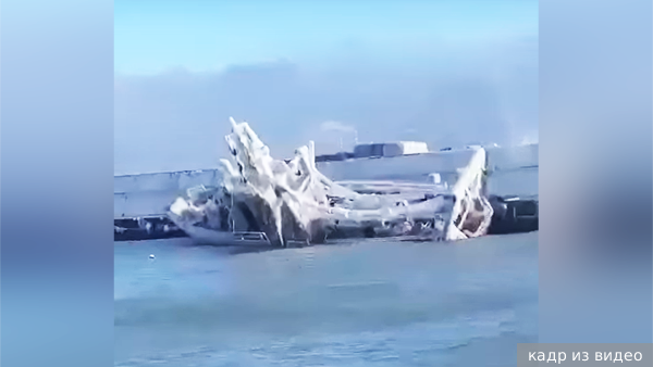     Фото: кадр из видео   
 Текст: Алексей Дегтярев