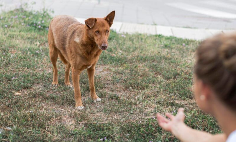    Фото freepik.com