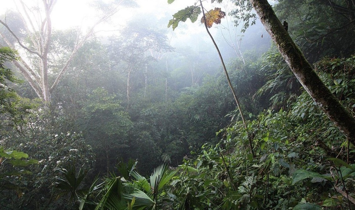 Источник изображения: CC BY 2.0 Джей