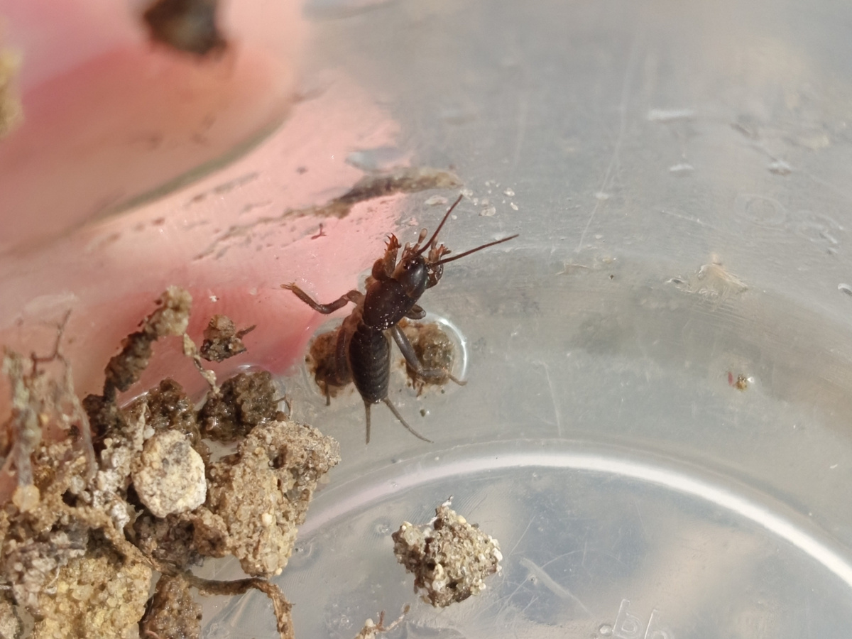 Лучше заблаговременно озаботиться строительством «искусственных роддомов». Фотография: silesianguy, CC BY-NC