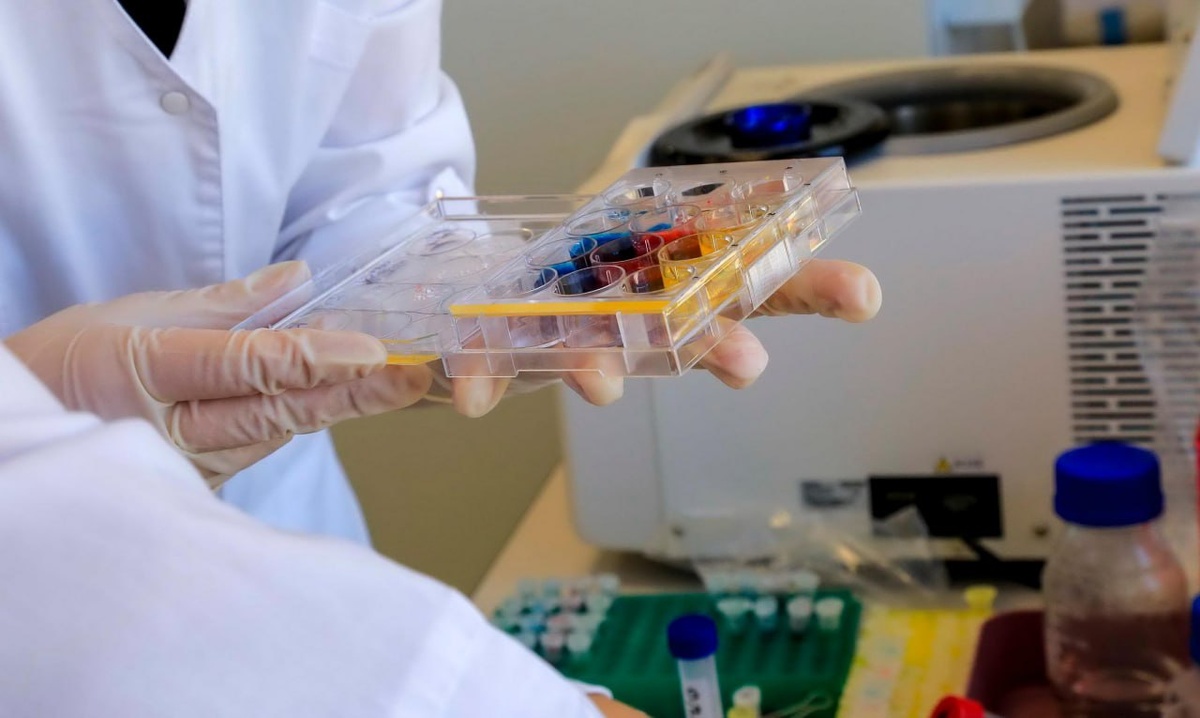 Фото: nsknews.info