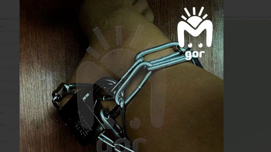    фото: телеграм-канал Mash Gor