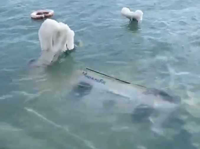    Телеграм-канал PortNews_ru