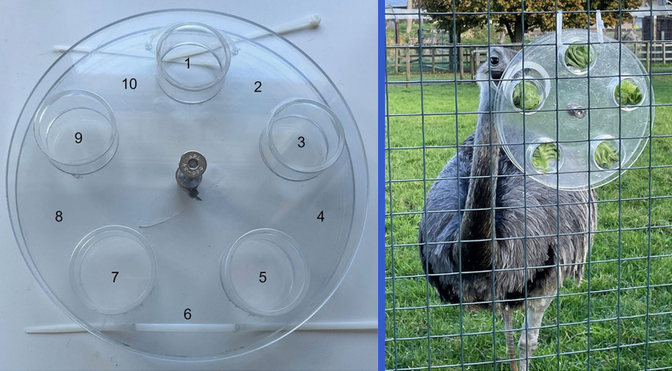   Fay E. Clark et al. / Scientific Reports, 2025