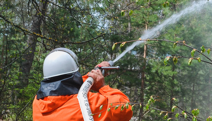 Dесной 2025 года леса вспыхнут гораздо раньше. Фото: Мария Рудакова, 1MI