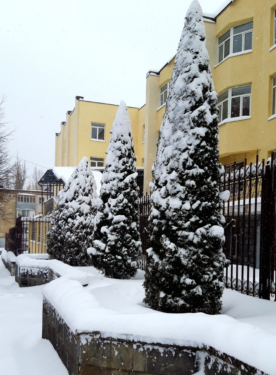 Фотография автора 