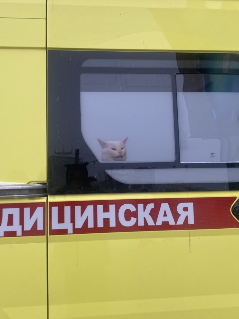    Фото: В курсе.ру Екатерина Устькачкинцева