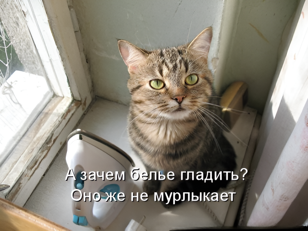 Действительно, срочно гладим котиков. (Источник: kotomatricy)