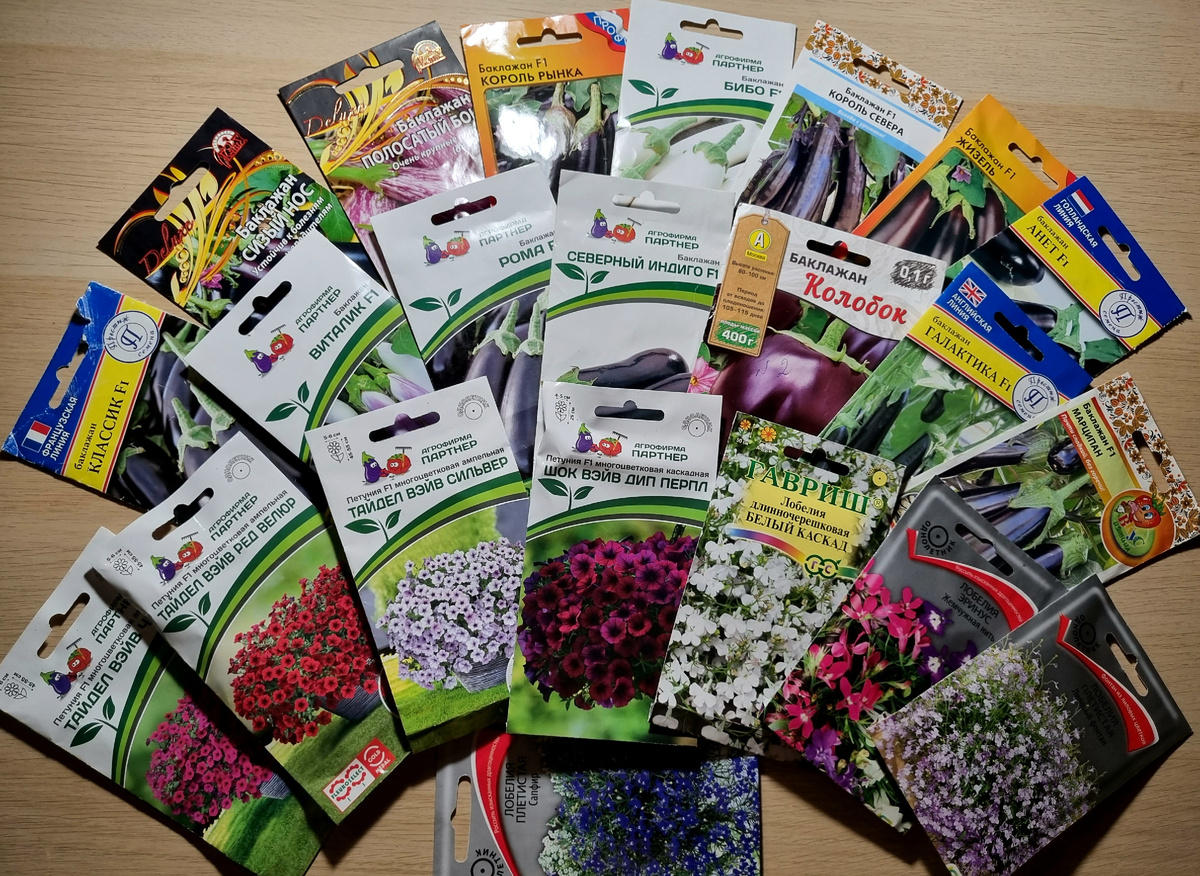 Фото автора.