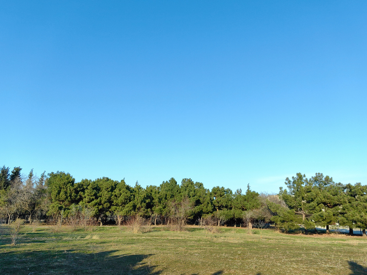 Сегодня вечером. Фото автора канала