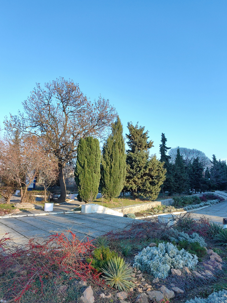 Сегодня вечером. Фото автора канала